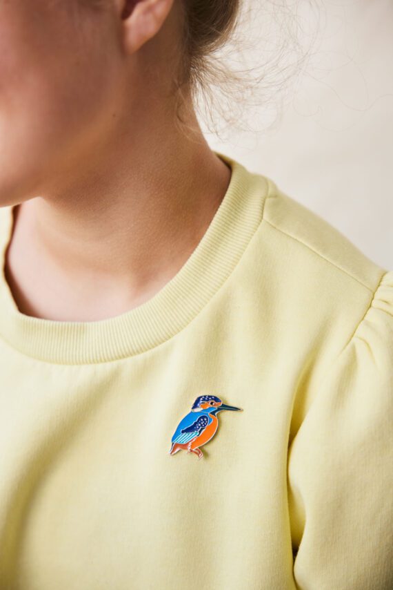 Pin Kingfisher